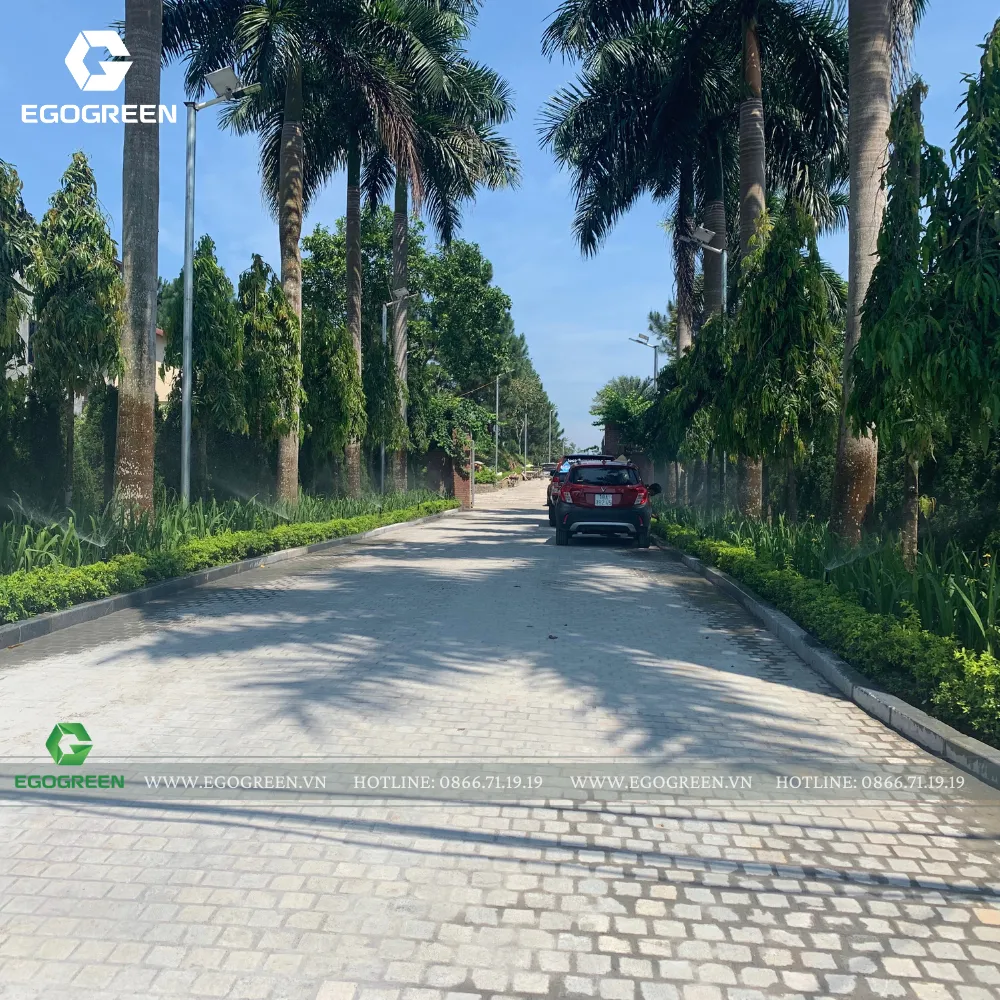 Cổng vào vừa rợp bóng mát vừa đem lại cảm giác choáng ngợp, hùng vĩ của thiên nhiên.